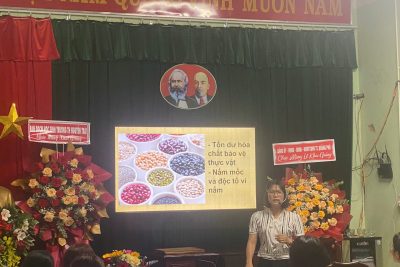 Tập huấn chuyên môn đầu năm 2024-2025